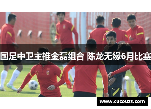 国足中卫主推金磊组合 陈龙无缘6月比赛
